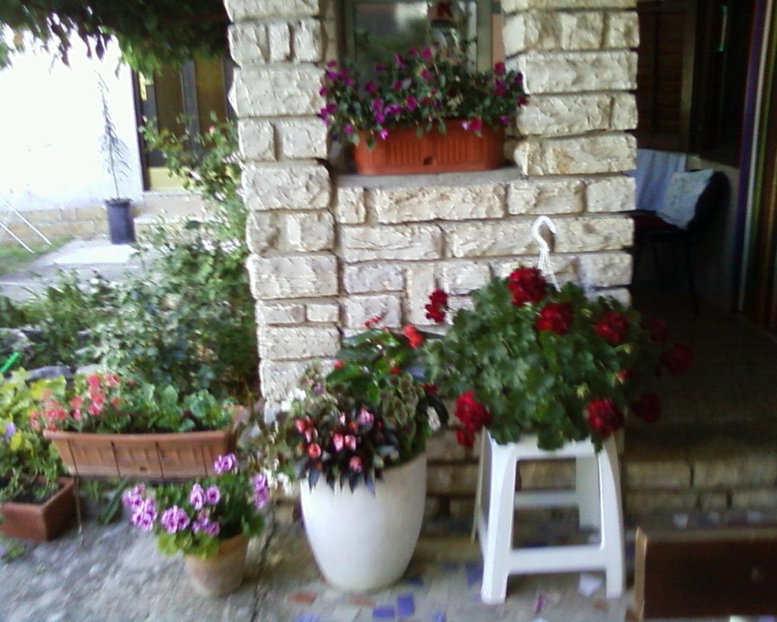 Apartments M&R Spadina Vodice Eksteriør billede