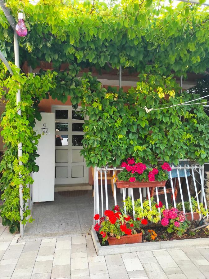 Apartments M&R Spadina Vodice Eksteriør billede